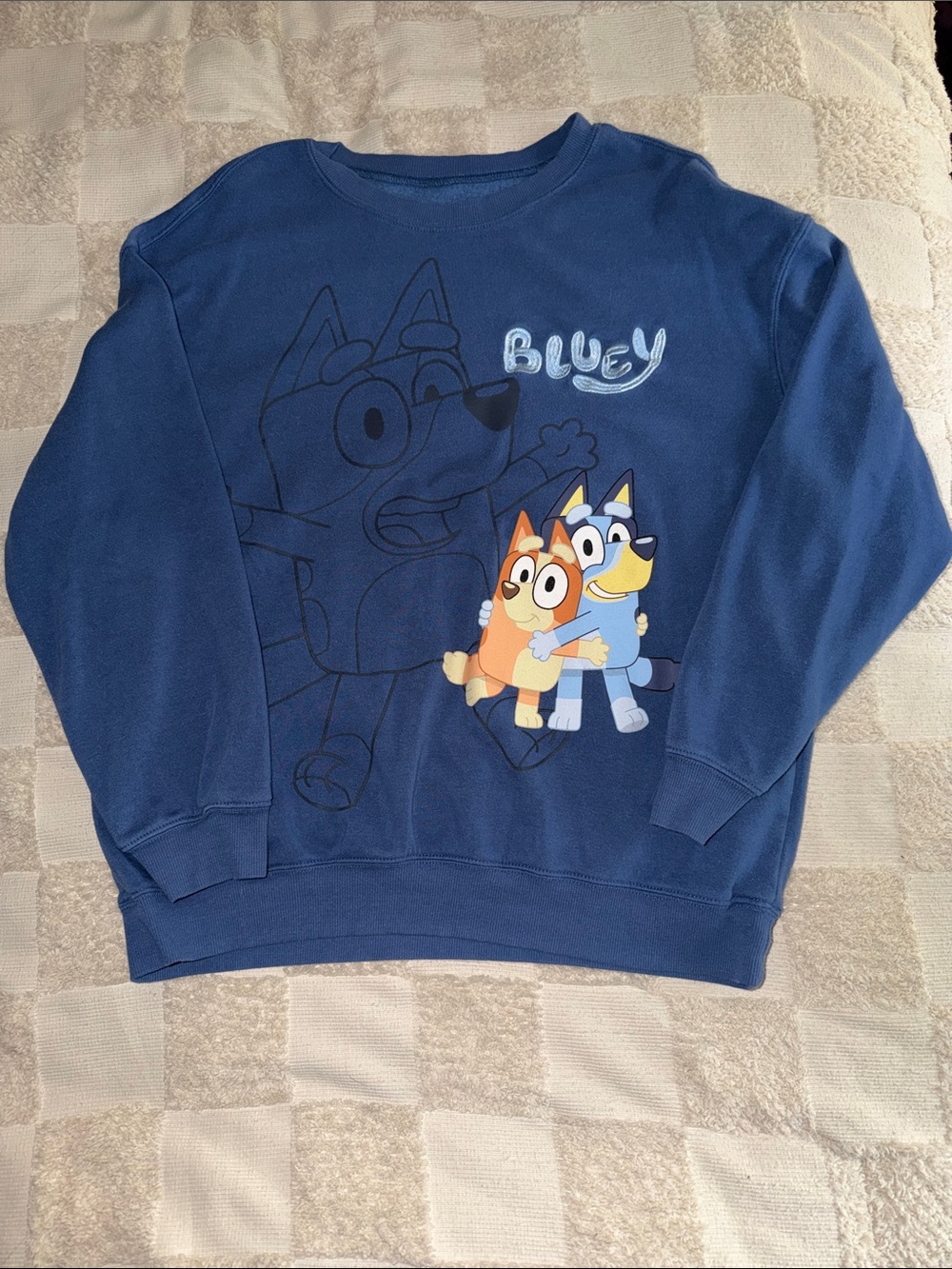 Hybrid Apparel Blue Sweatshirt with Bluey Characters